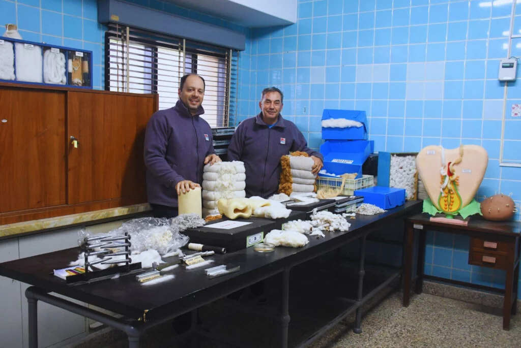Algodón, INTA, Tecnología