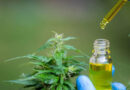 Cannabis Medicinal, Aceite