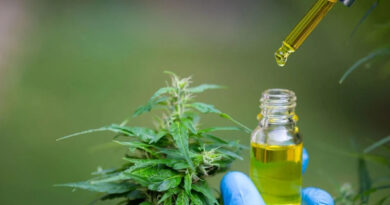 Cannabis Medicinal, Aceite