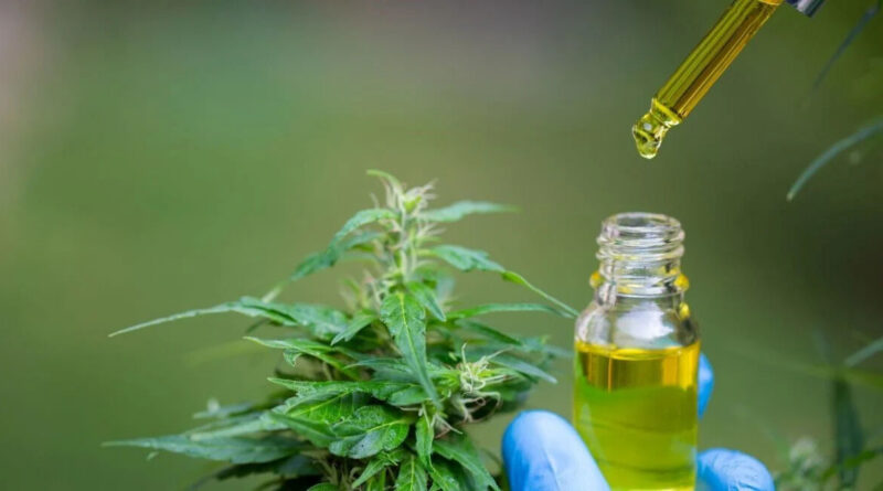 Cannabis Medicinal, Aceite