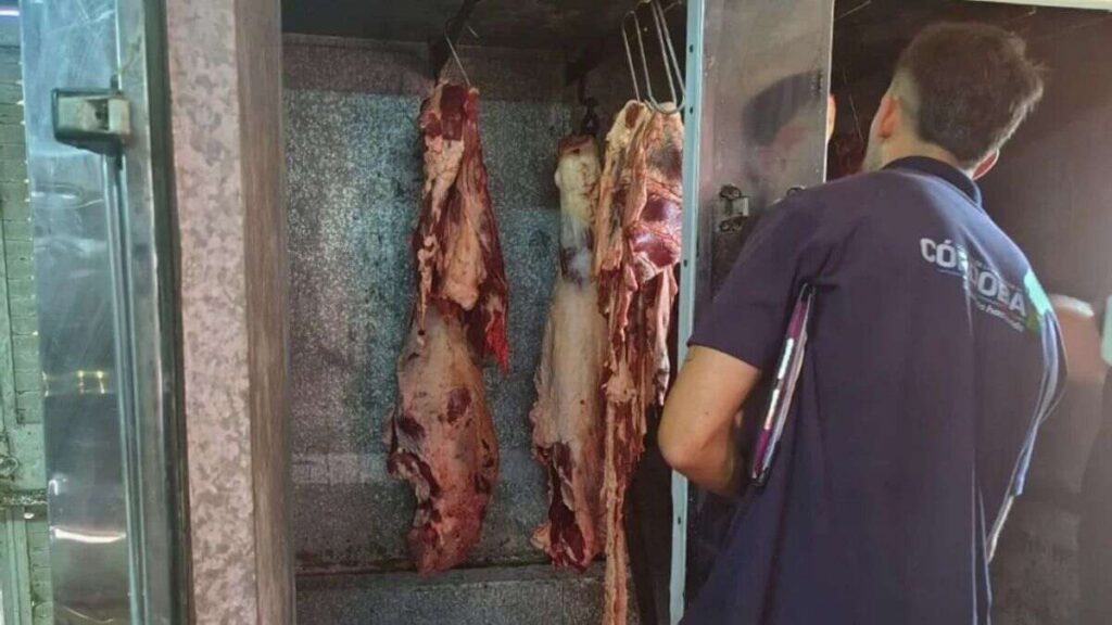 Córdoba, carne ilegal