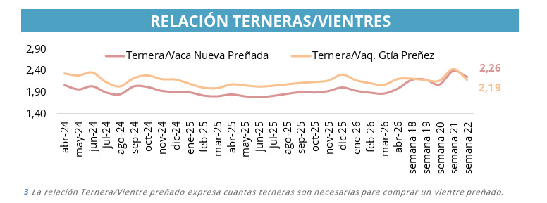 Cría, terneras, vientres