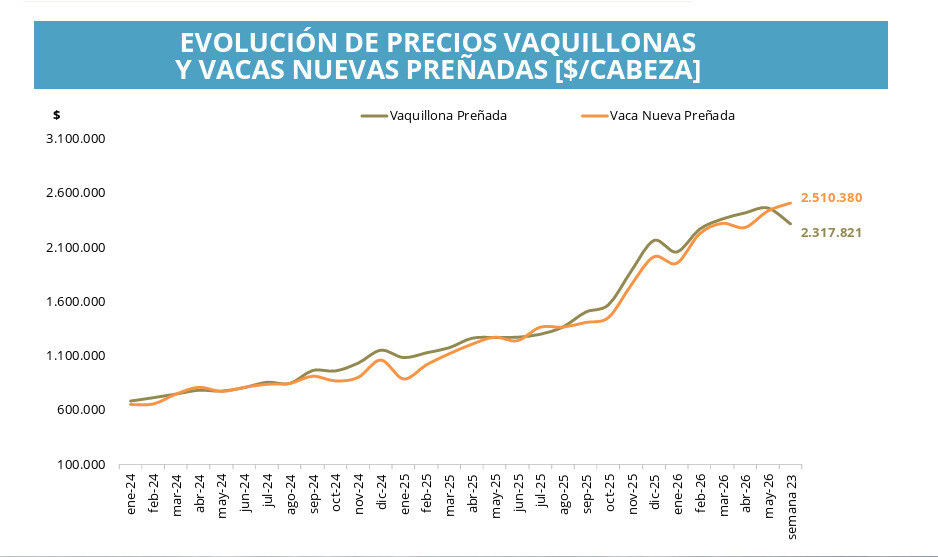 Cría, Vacas, Vaquillonas