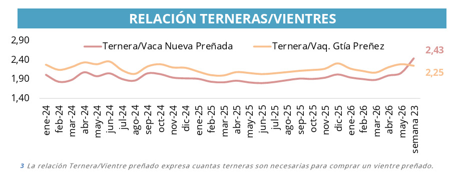 Cría, Terneros, Vientres