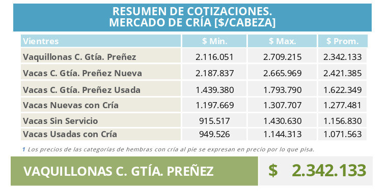 Cría