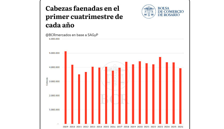 Faena, 2026