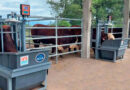 Feed Manager, Ganadería, Feedlots