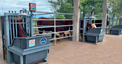 Feed Manager, Ganadería, Feedlots