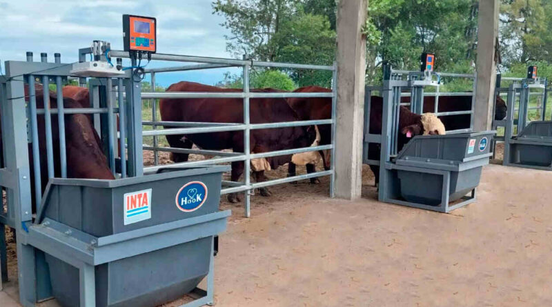 Feed Manager, Ganadería, Feedlots