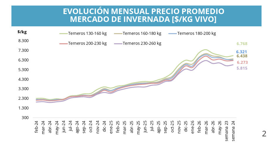 Mercado de Invernada
