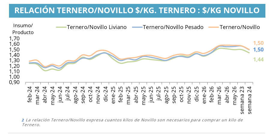 Invernada, Ternero, Novillo