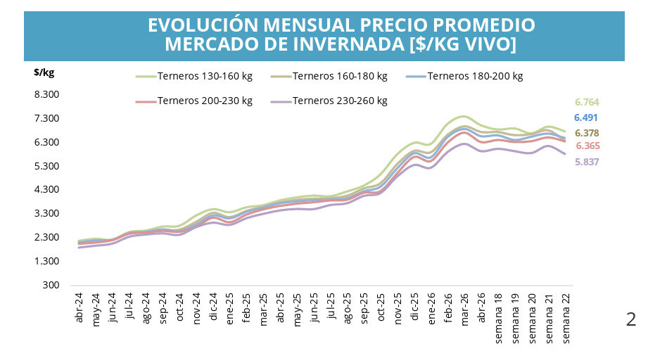 Mercado de Invernada