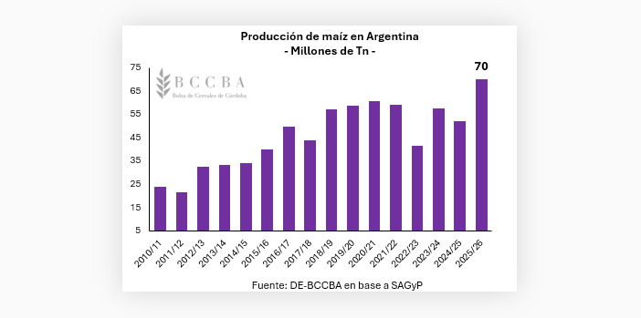 Maíz, Argentina