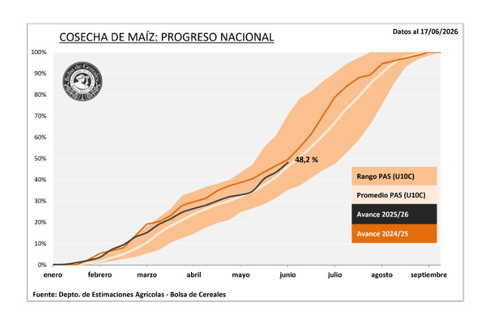 Maíz, Cosecha