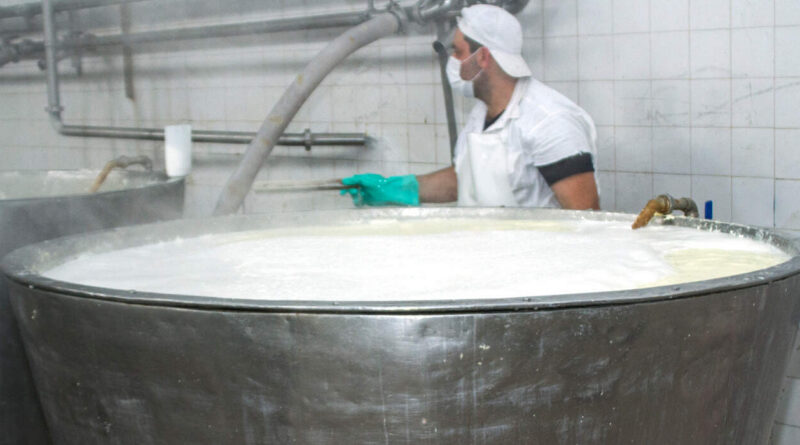 Margarinas. Senasa