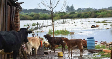 Misiones, Temporal, Inundaciones, Lluvias, Clima