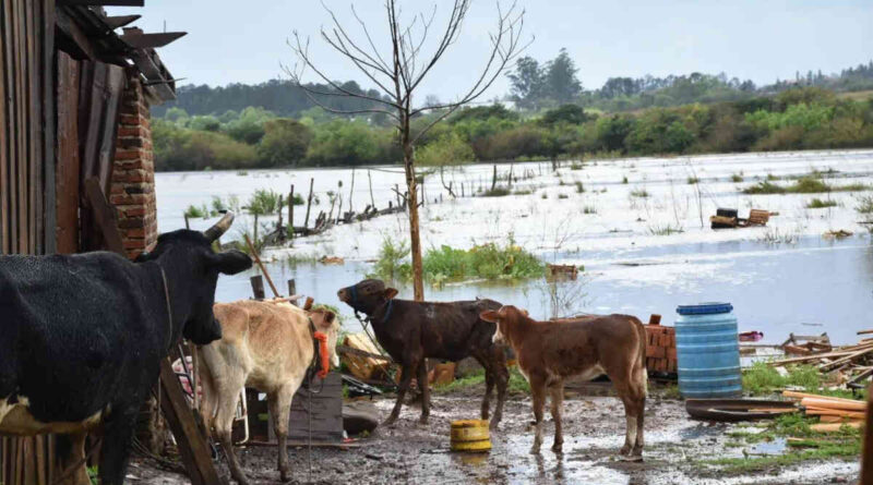Misiones, Temporal, Inundaciones, Lluvias, Clima