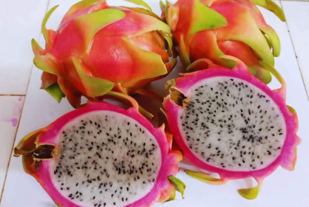 Pitahaya