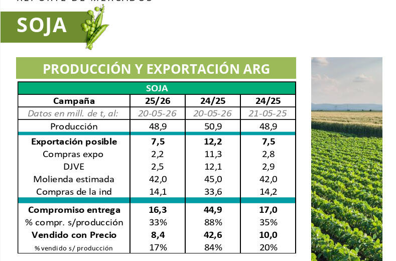 soja, Argentina