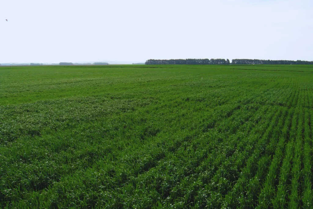 Suelo, Agricultura