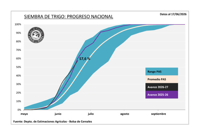 Trigo, Siembra