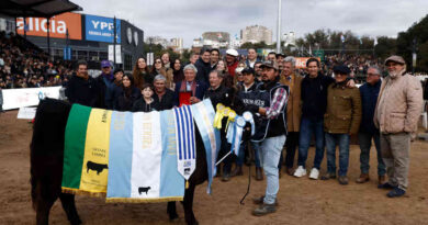 Angus, Gran Campeón Hembra, Expo Rural de Palermo 2026