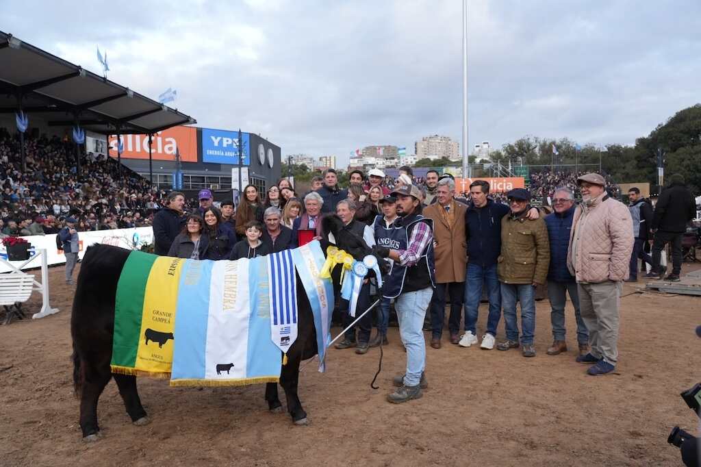 Angus, Gran Campeón Hembra, Expo Rural de Palermo 2026