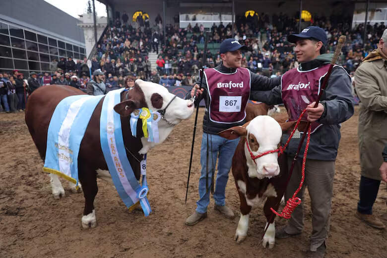 Braford, Gran Campeón, Expo Rural 2026, Palermo