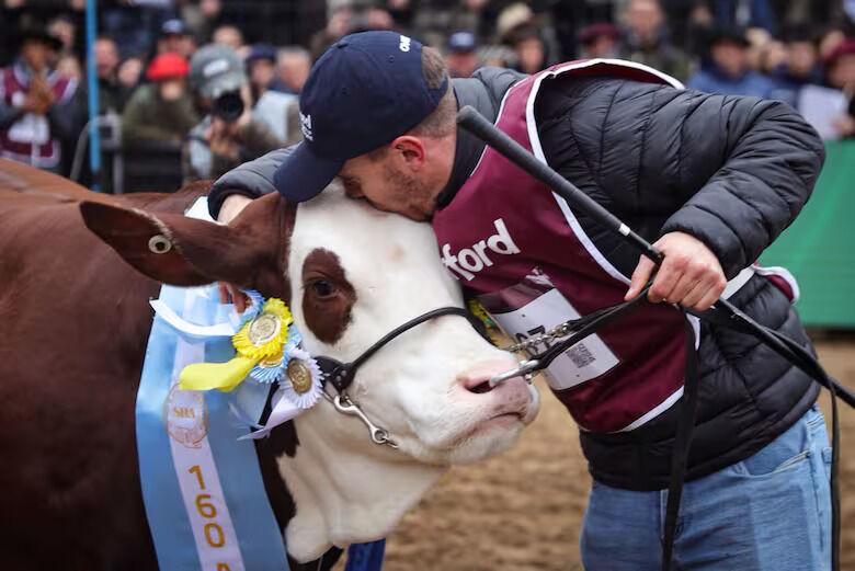 Braford, Gran Campeón, Expo Rural 2026, Palermo