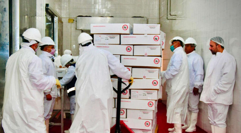 Carne Caprina, Chaco, Exportación