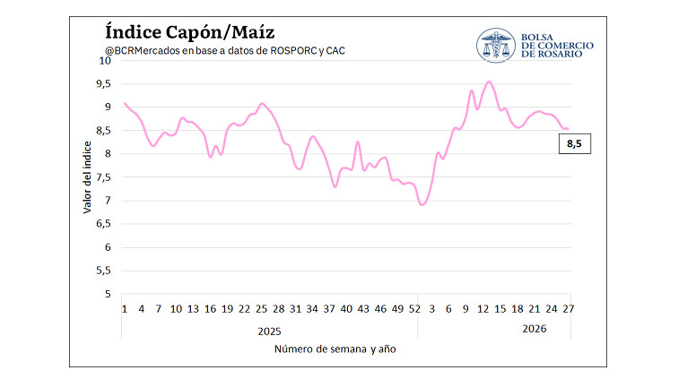 Carne de Cerdo, Capón, Maíz