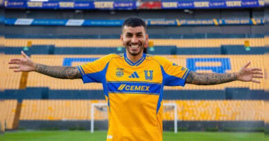 Ángel Correa