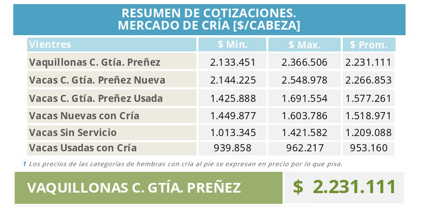 Mercado de Cría
