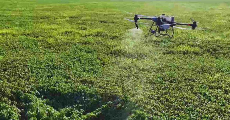 Drones Agricultura, INTA