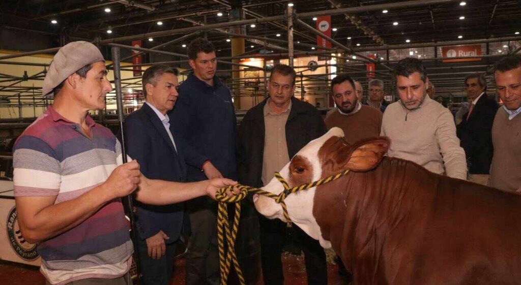 Ganadería, Expo Rural 2026, Palermo