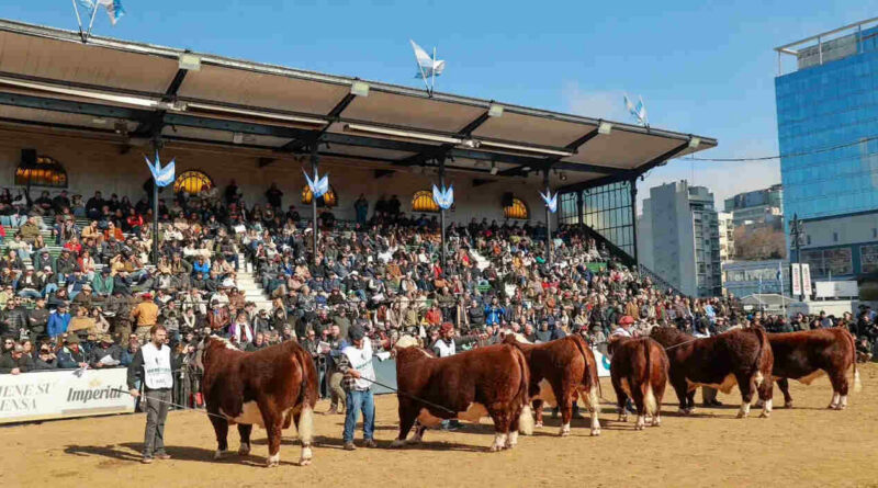 Ganadería, Expo Rural 2026, Palermo