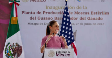 Gusano Barrenador