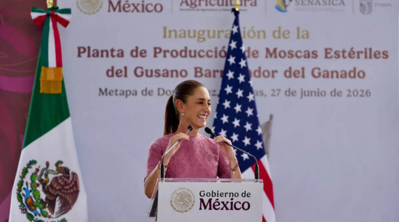 Gusano Barrenador