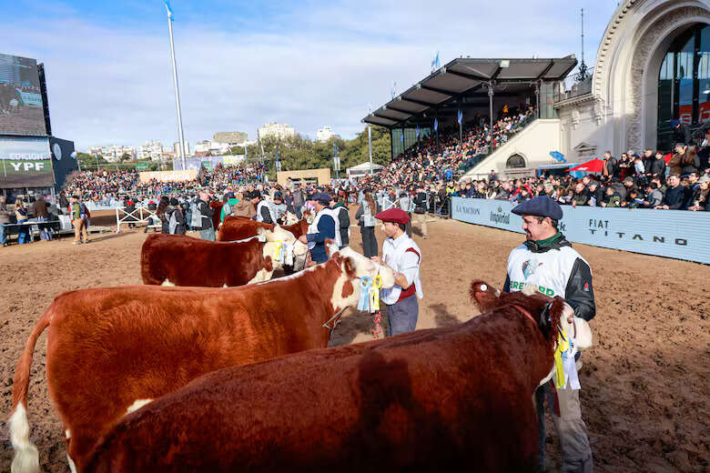 Hereford, Gran Campeón Hembra, Clarita, Expo Rural 2026, Palermo