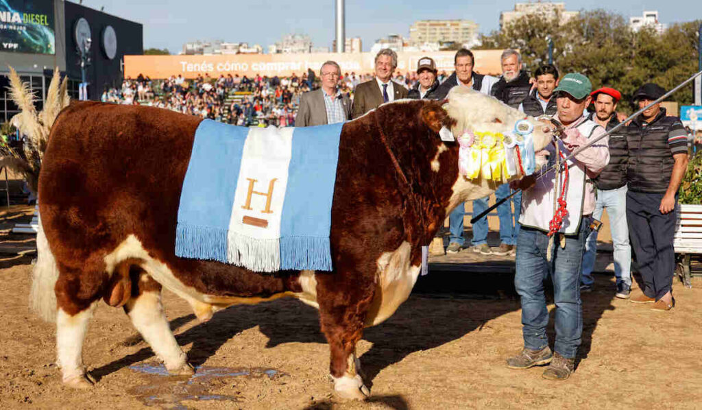 Hereford, Gran Campeón Macho, Exposición Rural de Palermo 2026