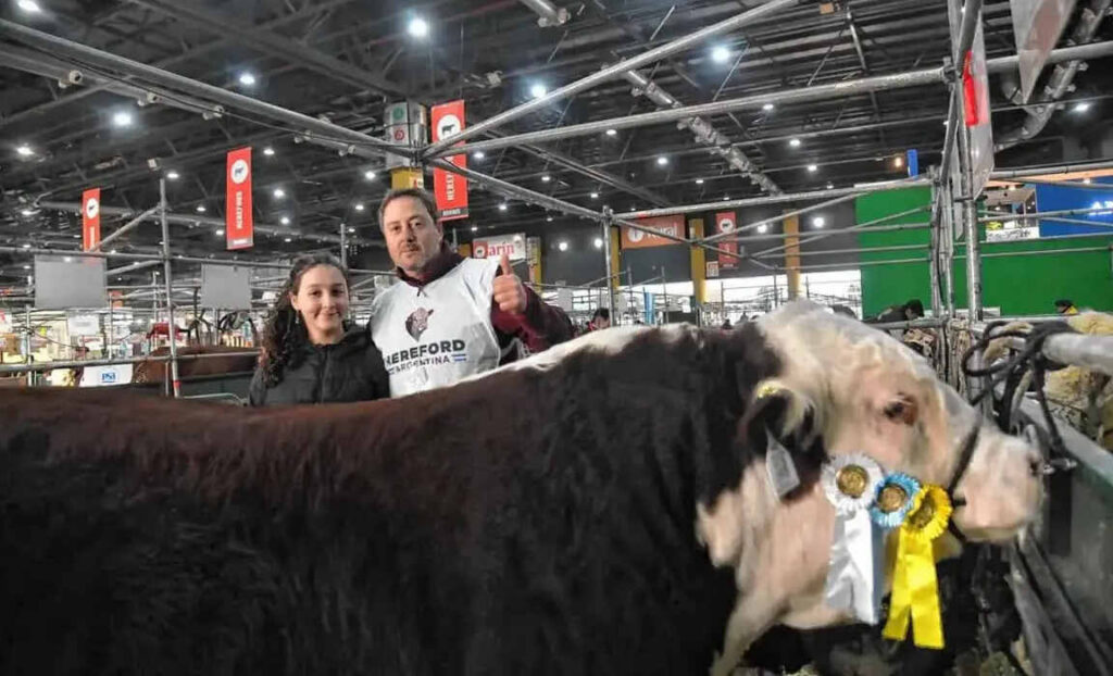 Hereford, Gran Campeón Macho, Exposición Rural de Palermo 2026