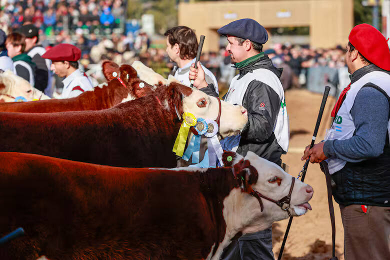 Hereford, Gran Campeón Hembra, Clarita, Expo Rural 2026, Palermo