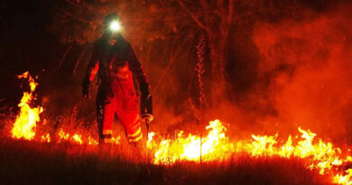Incendios, Europa, España, Francia