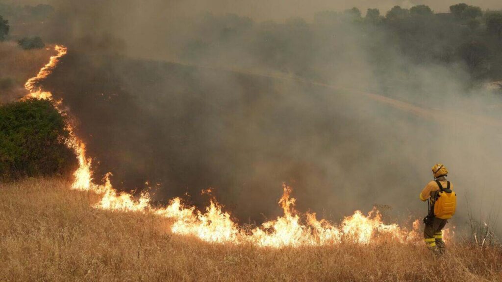 Incendios, Europa, España, Francia