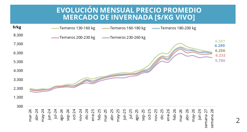 Mercado de Invernada