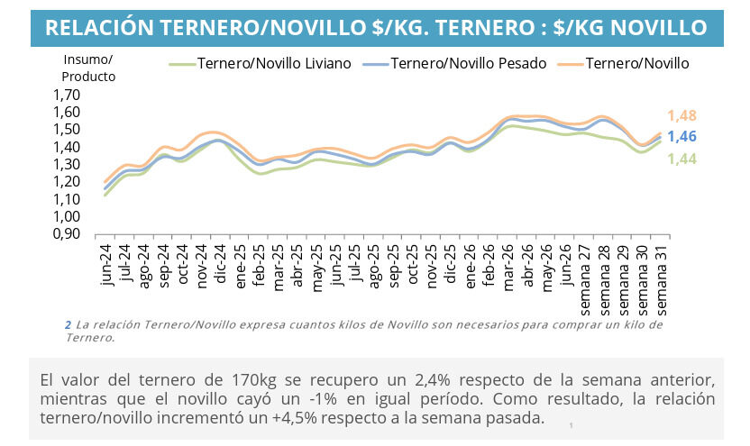 Mercado de Invernada, Ternero, Novillo