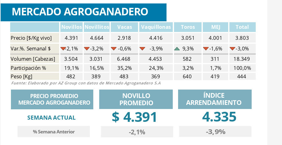 Mercado de Invernada, MAG