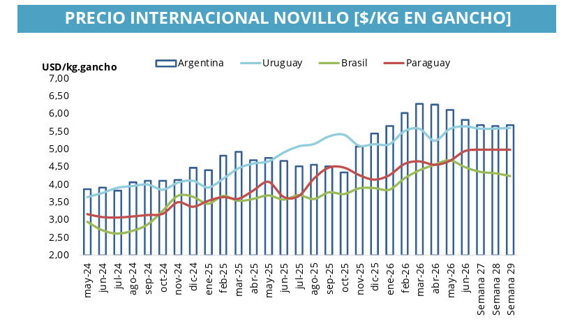 Invernada, Novillo Internacional