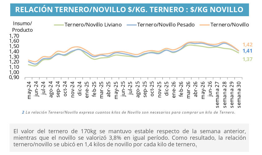Invernada, Ternero, Novillo