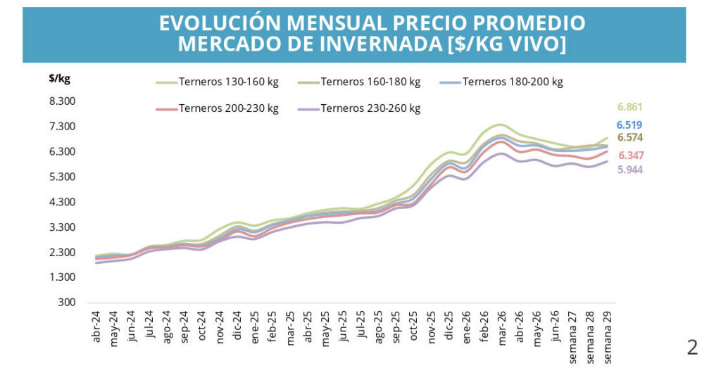 Invernada, Ganadería